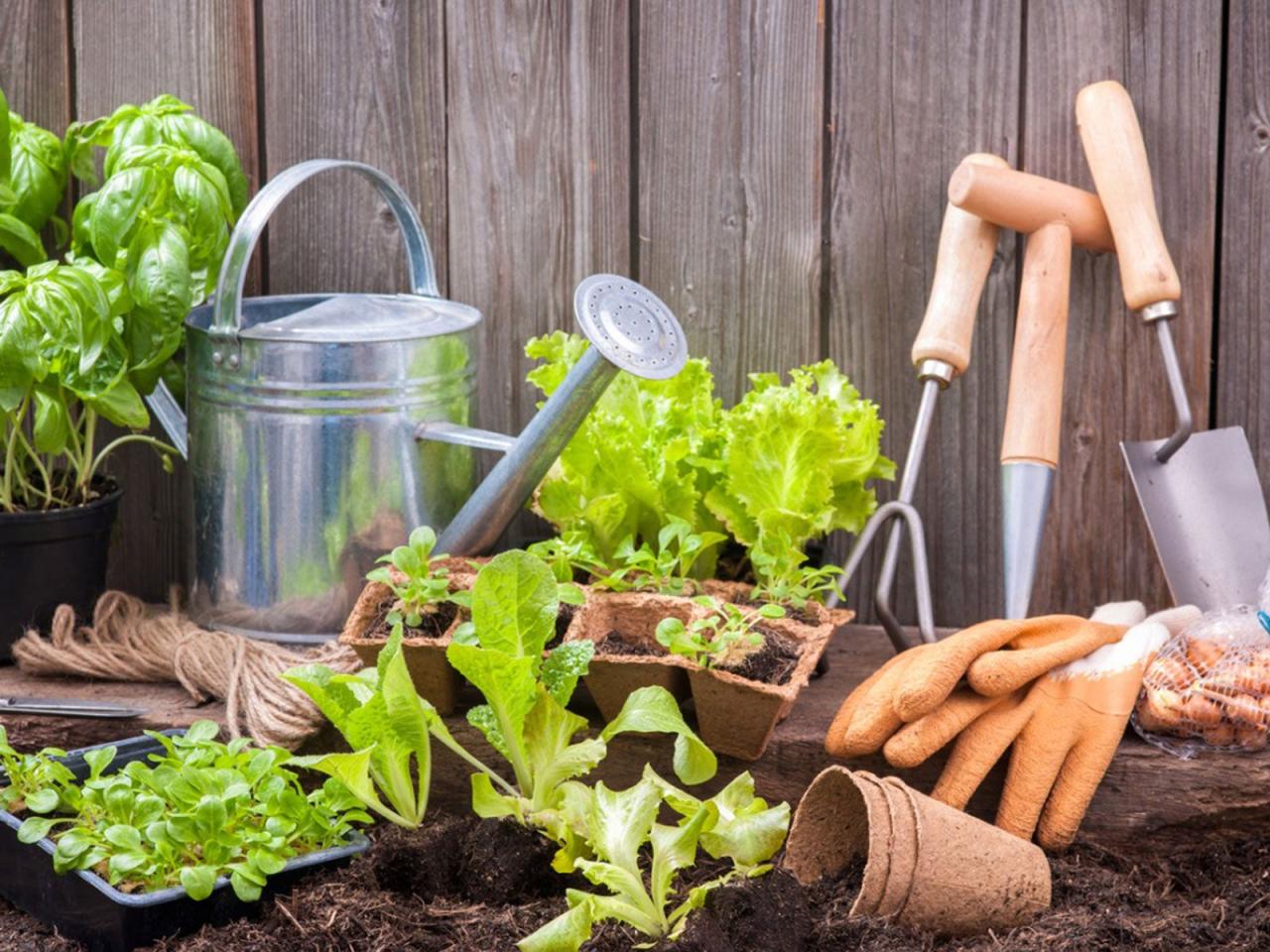 Gardening prospect mount library check books these here Gardening