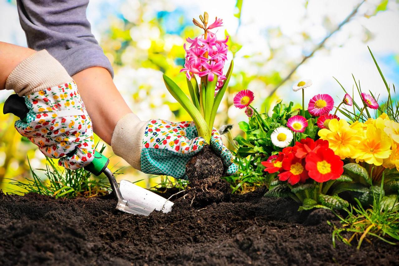 Gardening people meditation garden Gardening